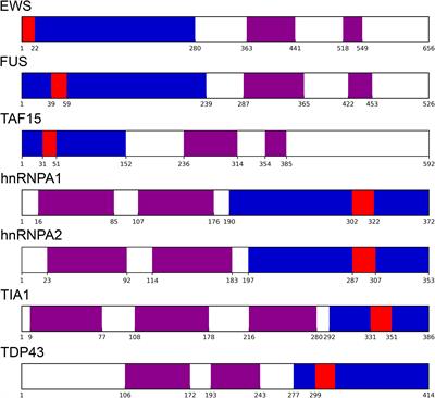 In silico Characterization of Human Prion-Like Proteins: Beyond Neurological Diseases